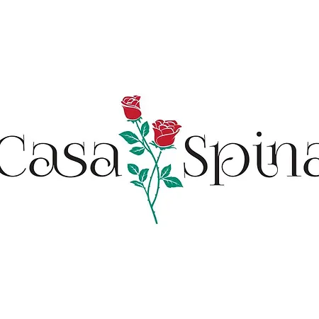 Apartament Casa Spina *